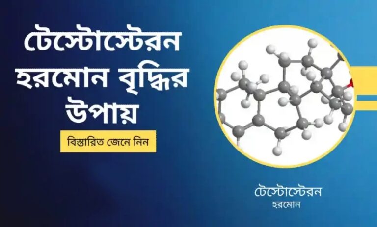 কিভাবে করবেন আপনার হরমোন কে আপনি সুরক্ষা এবং বৃদ্ধি করবেন । How to Protect and Boost Your Hormones